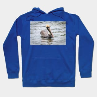 Brown Pelican Floating Along Hoodie